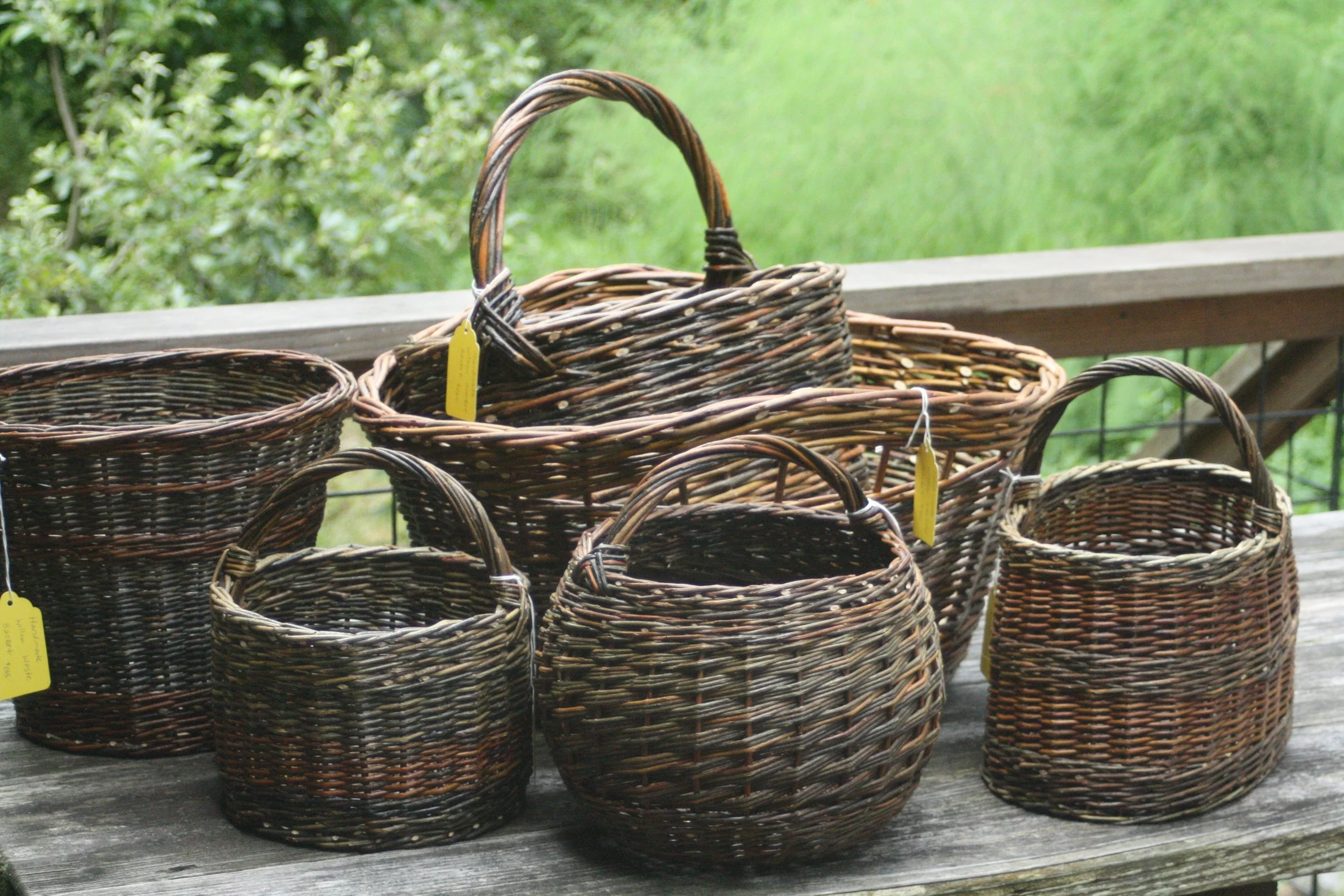 Willow Basketry 101