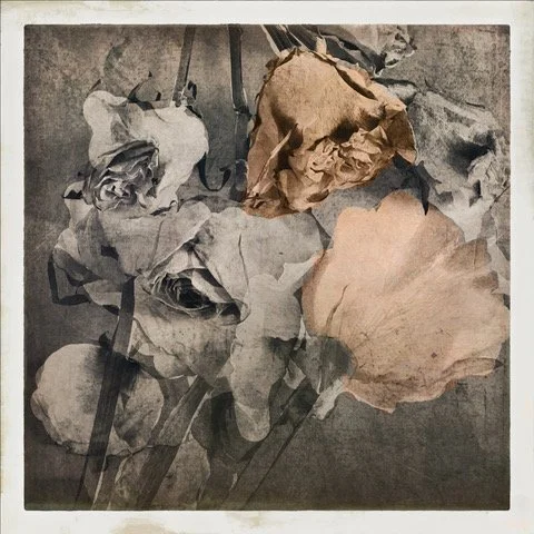 Expand Your Possibilities in iPhoneography