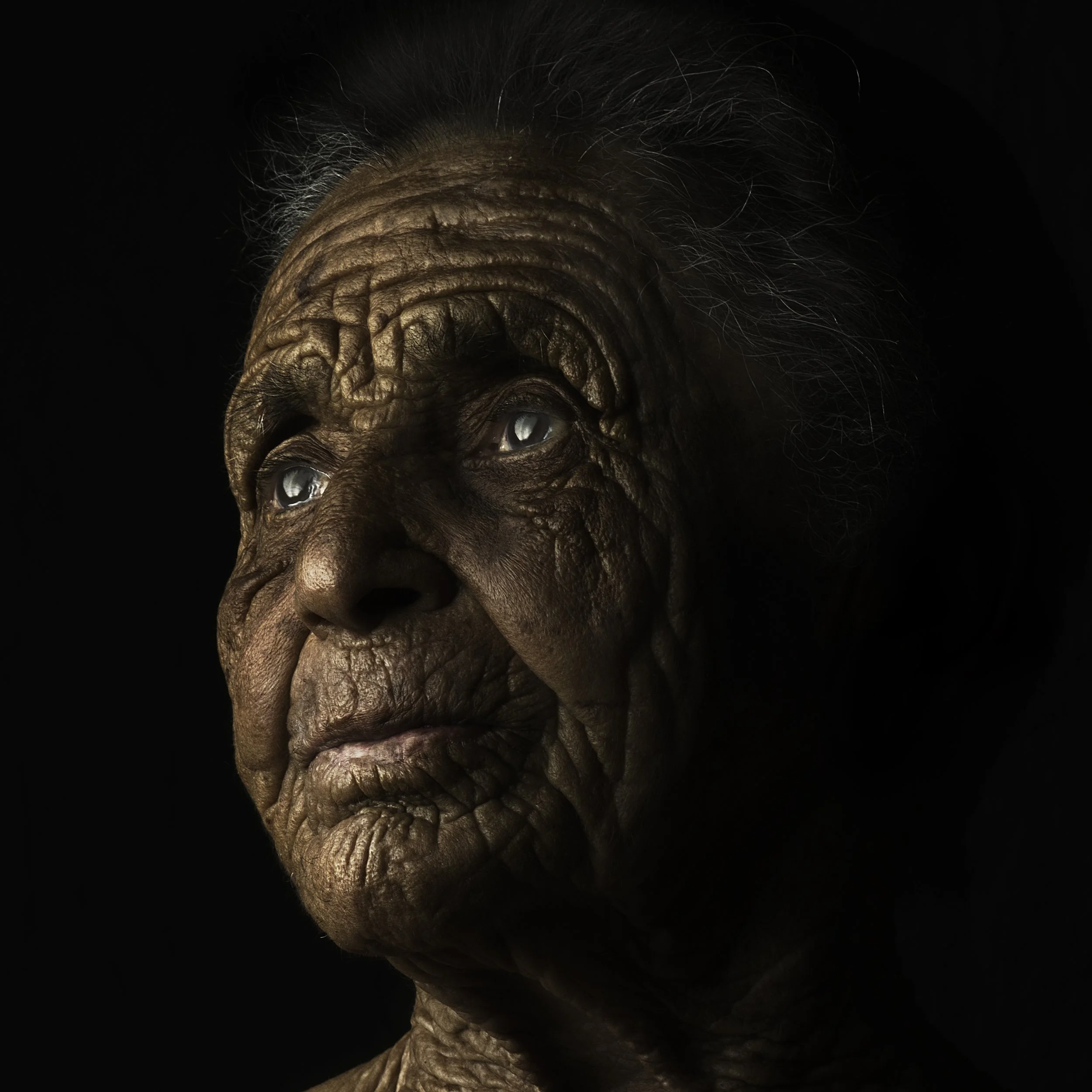 The Photographic Portrait