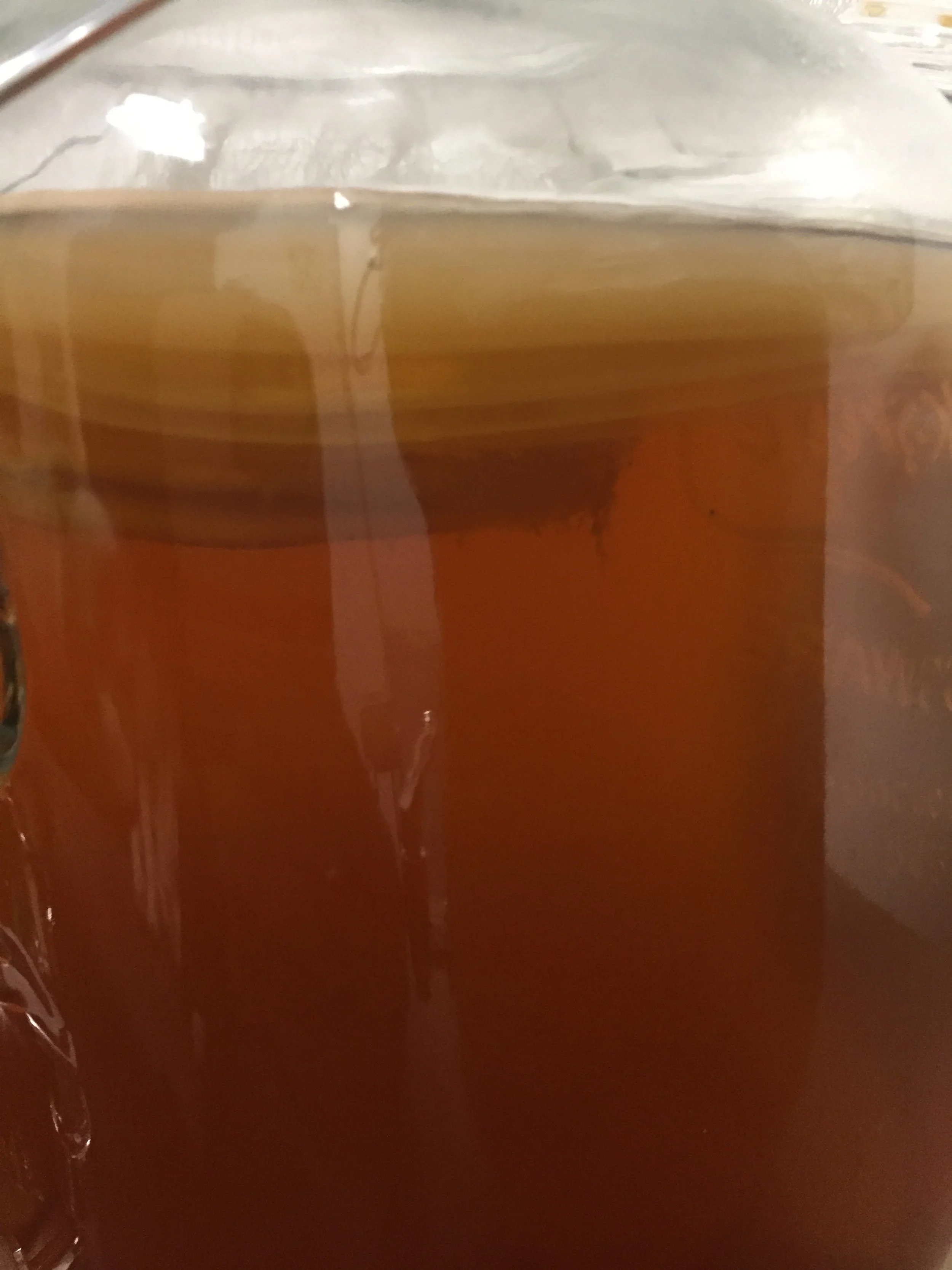 The Art of Making Kombucha
