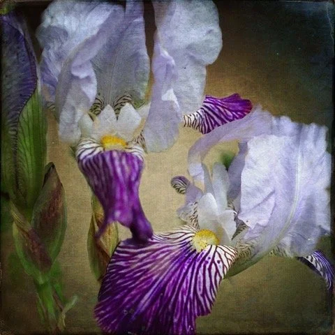 Expand Your Possibilities in iPhoneography