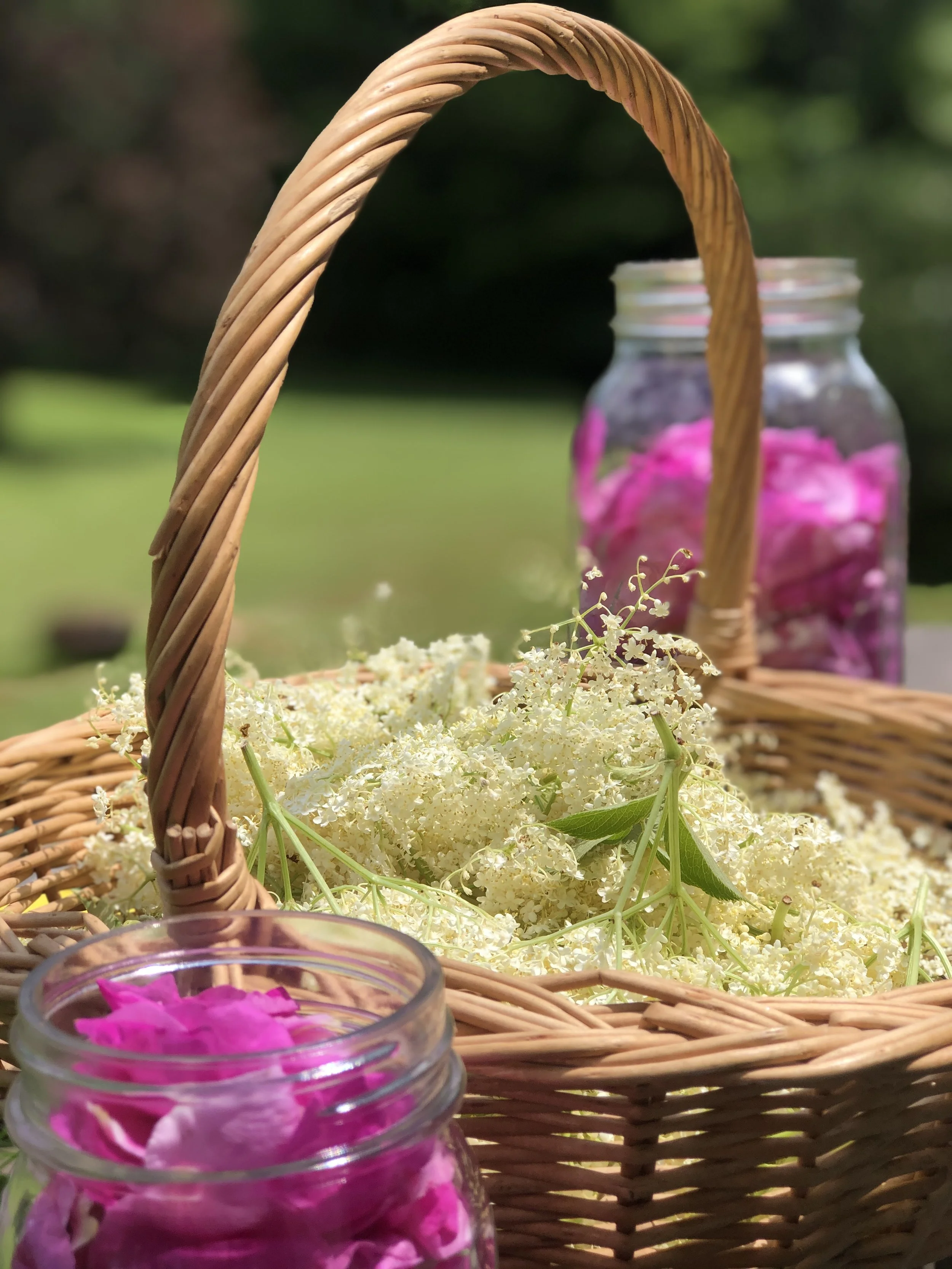 Herbal Self-Care for These Changing Times