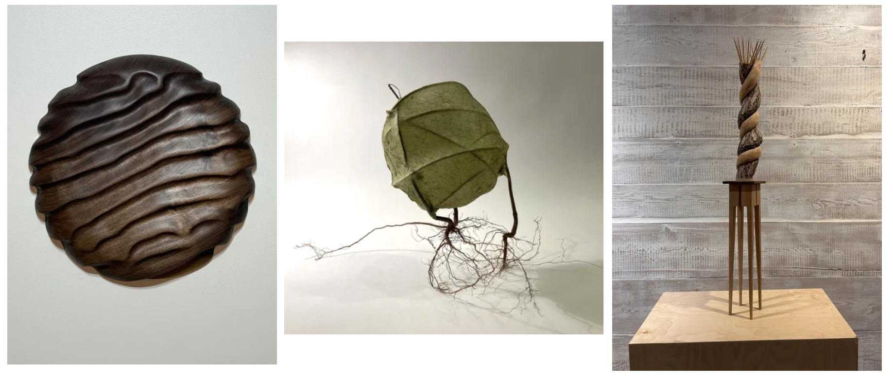 Cole Cook, Sheryl Jaffe, Dave Holbrook