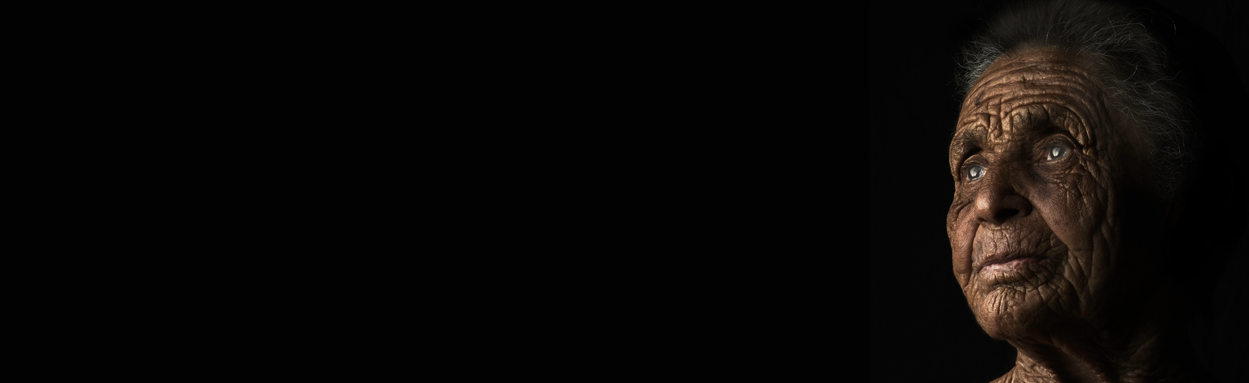 The Photographic Portrait