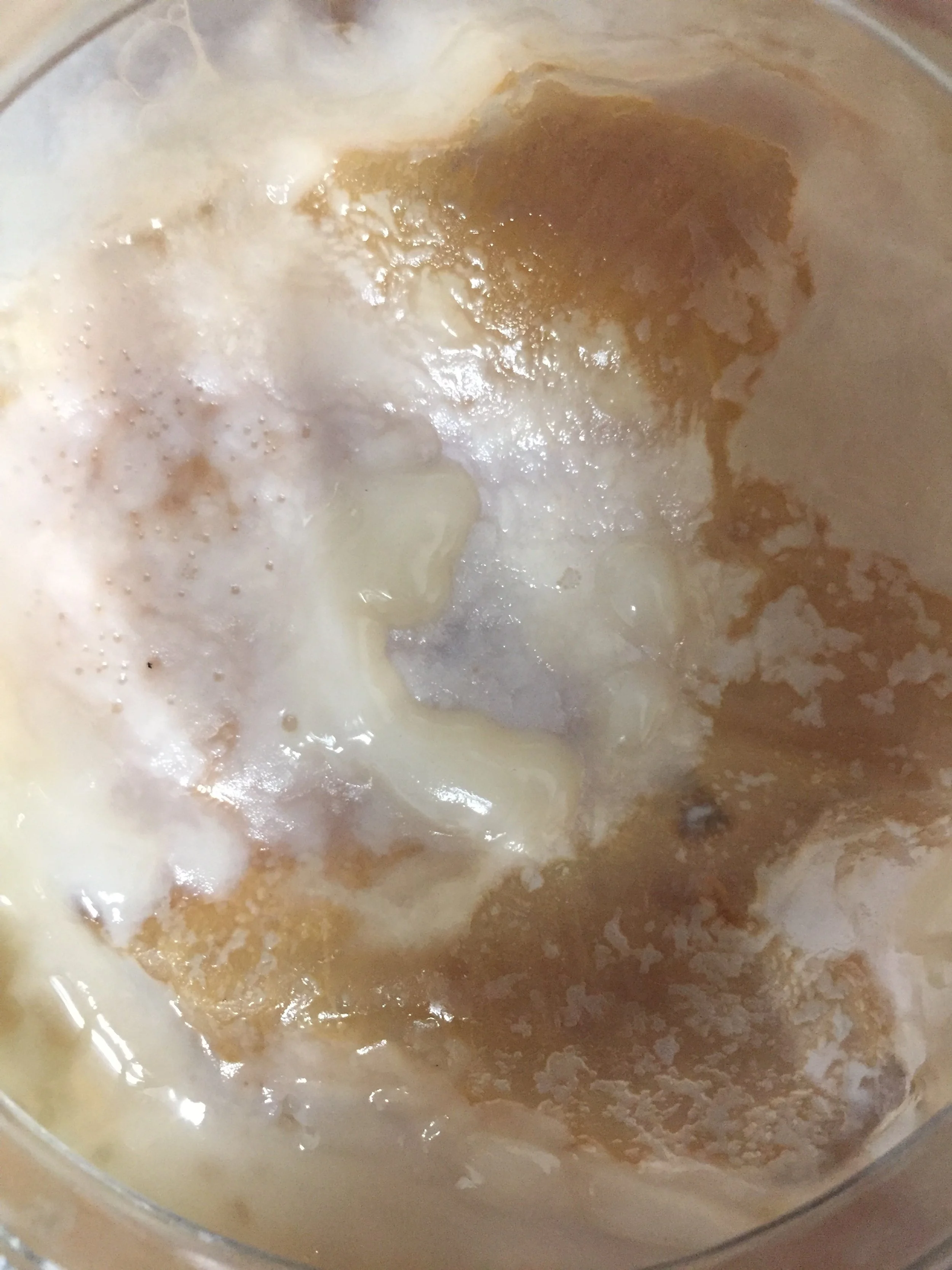 The Art of Making Kombucha