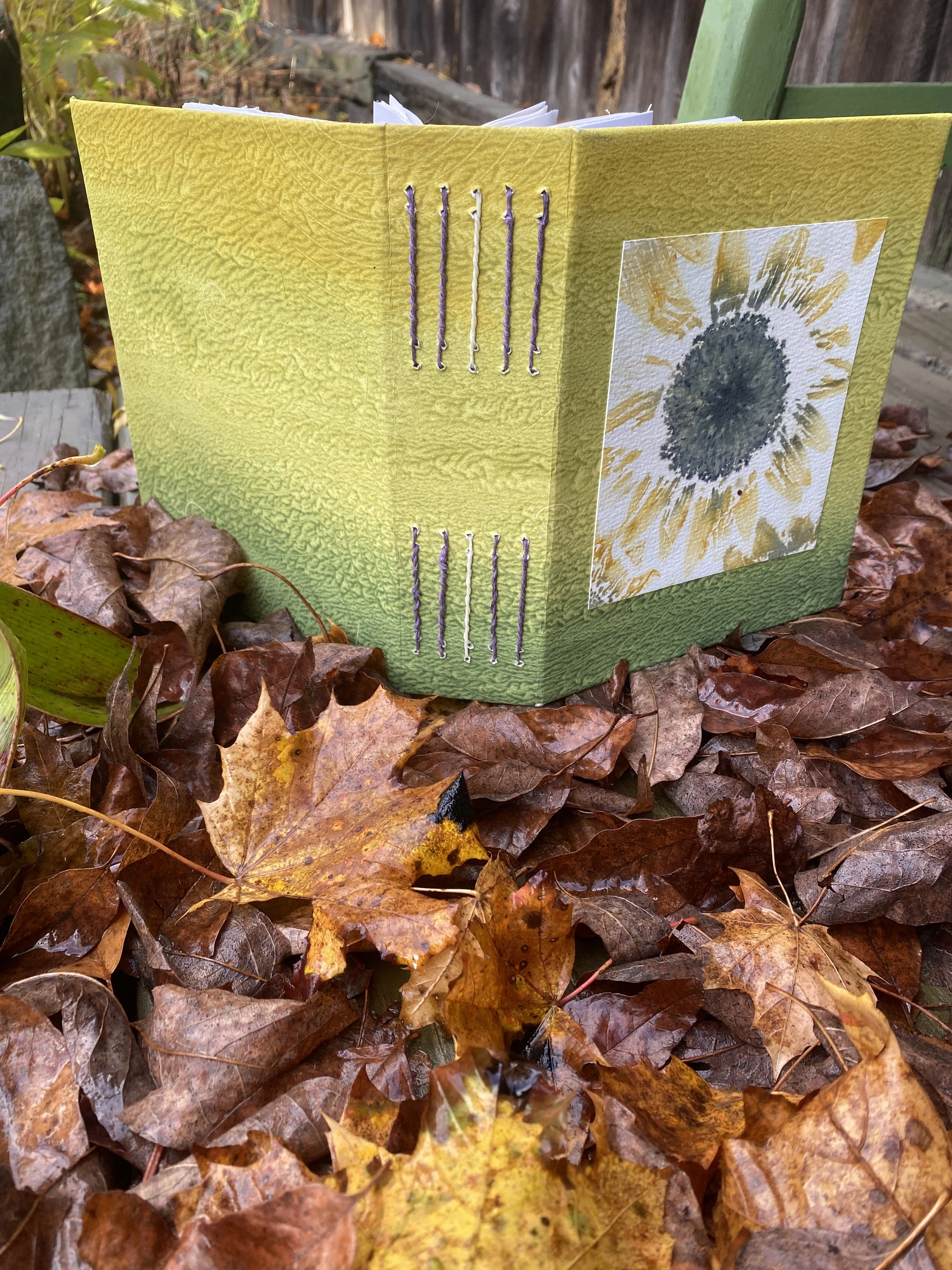 Creating a Collection of Artist Books: Nature as Muse