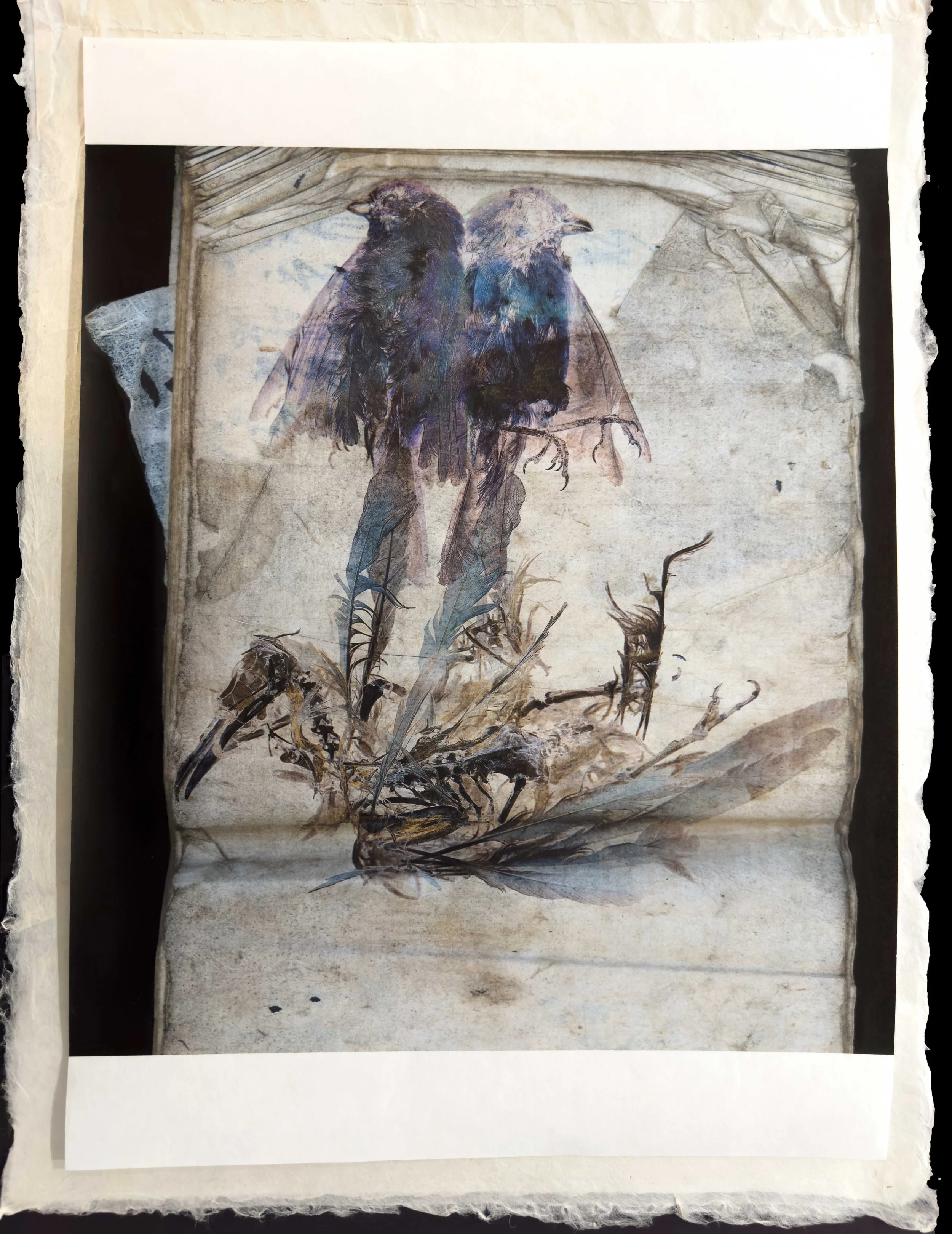 Artists Who Use Cameras: The Spaces Between Seeing and Making