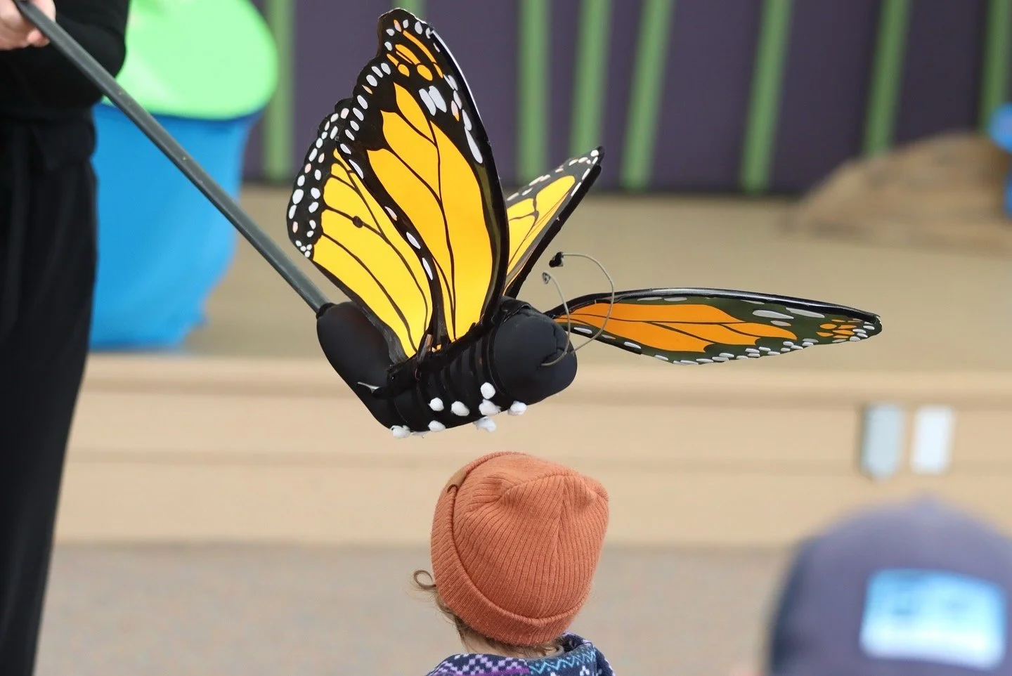 Pollinator Puppetry and Habitats