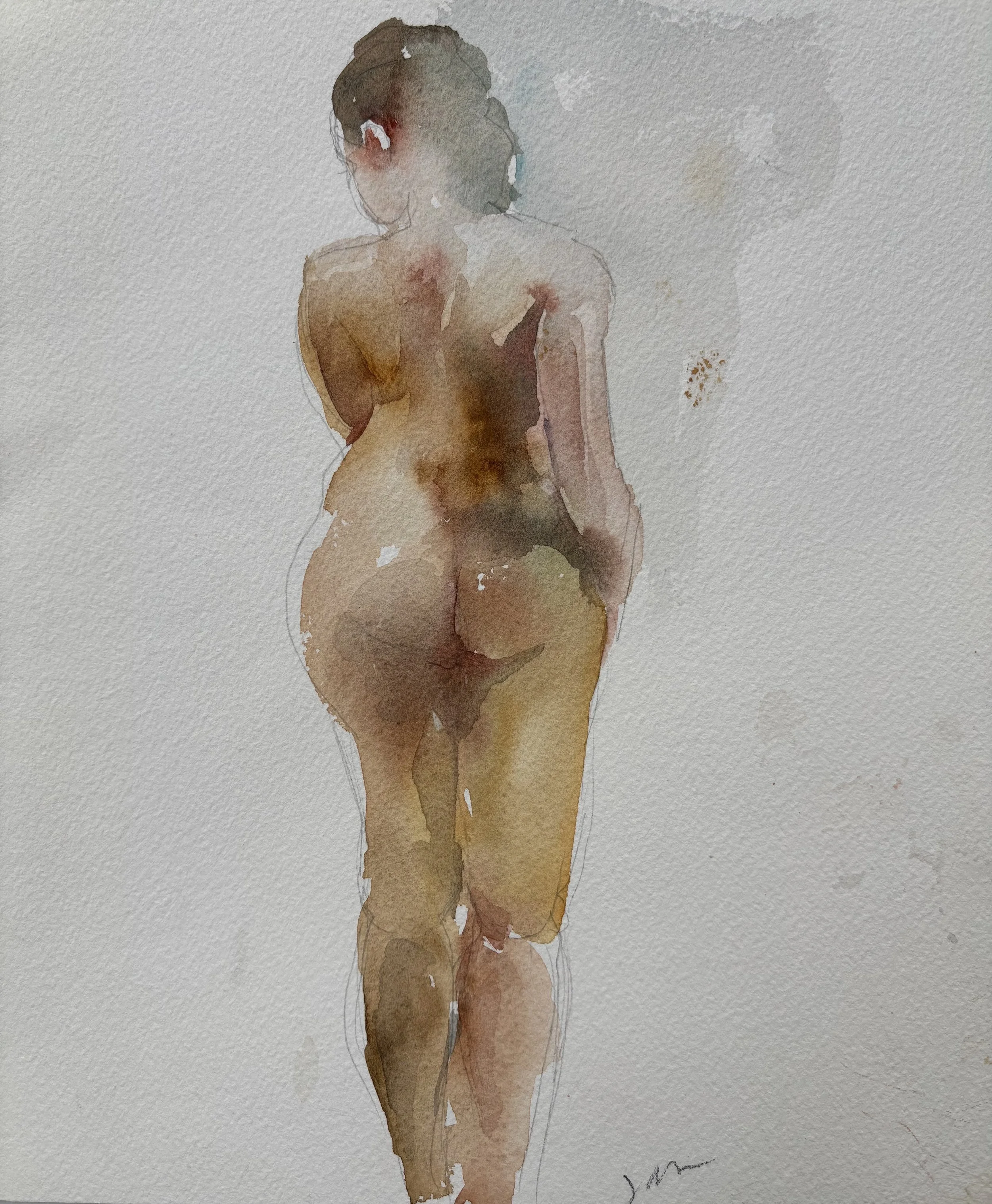 Model from Back.jpg
