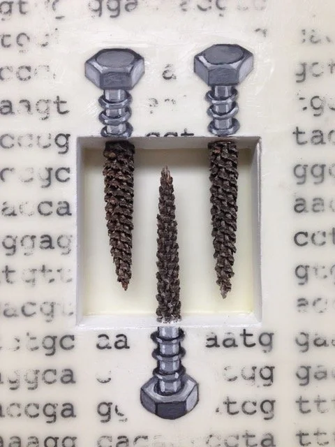 Going Natural - Incorporating Organic Matter in Encaustic