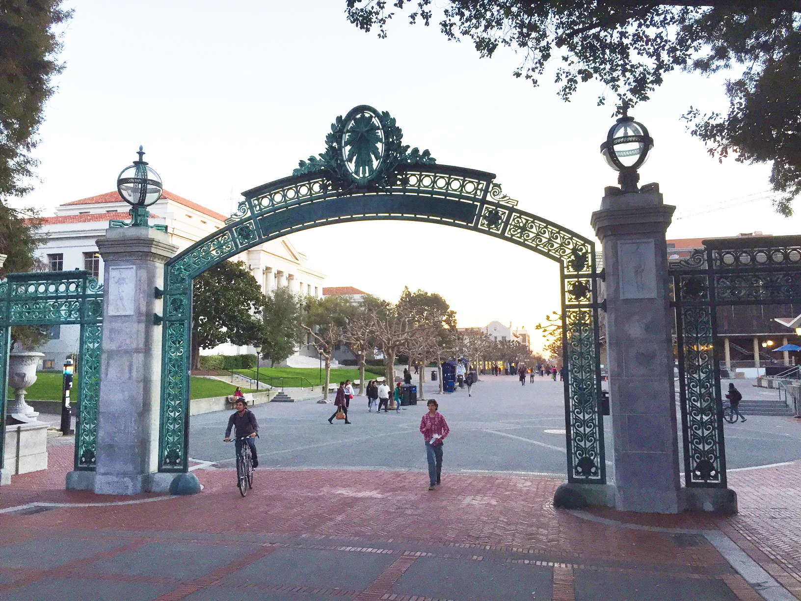Jia Ji Lin (Amgen Summer Scholar, 2014) Current position: NYU undergraduate