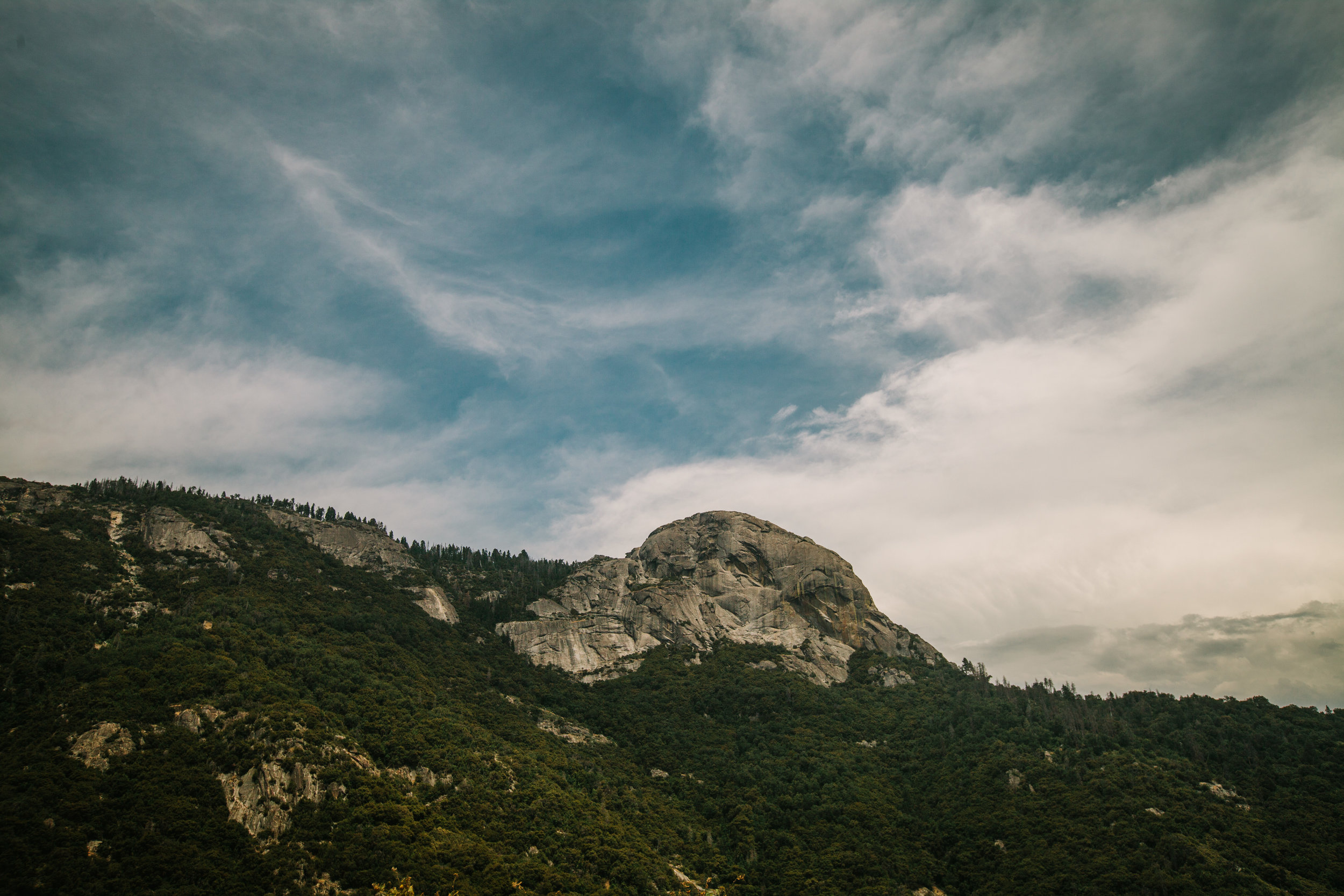 sequoia national park (4 of 278).jpg