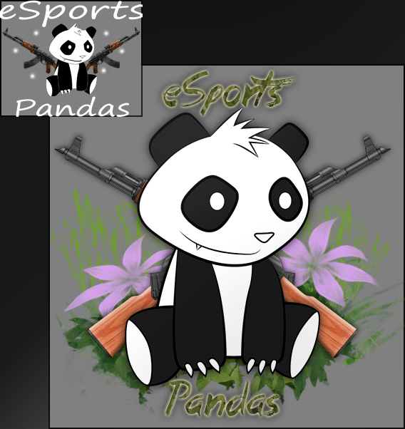 eSports Pandas before and after