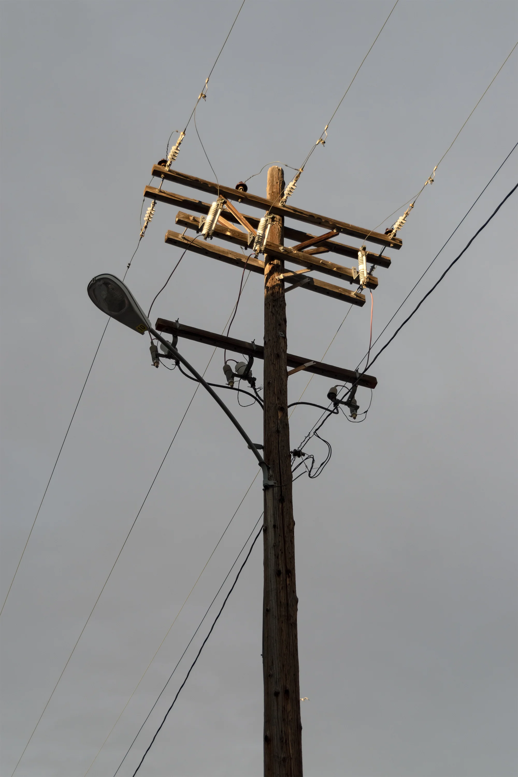 Telephone Pole