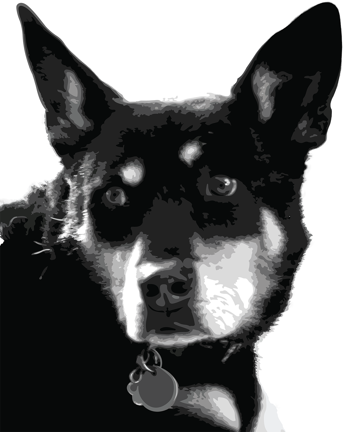 Final Vector Image