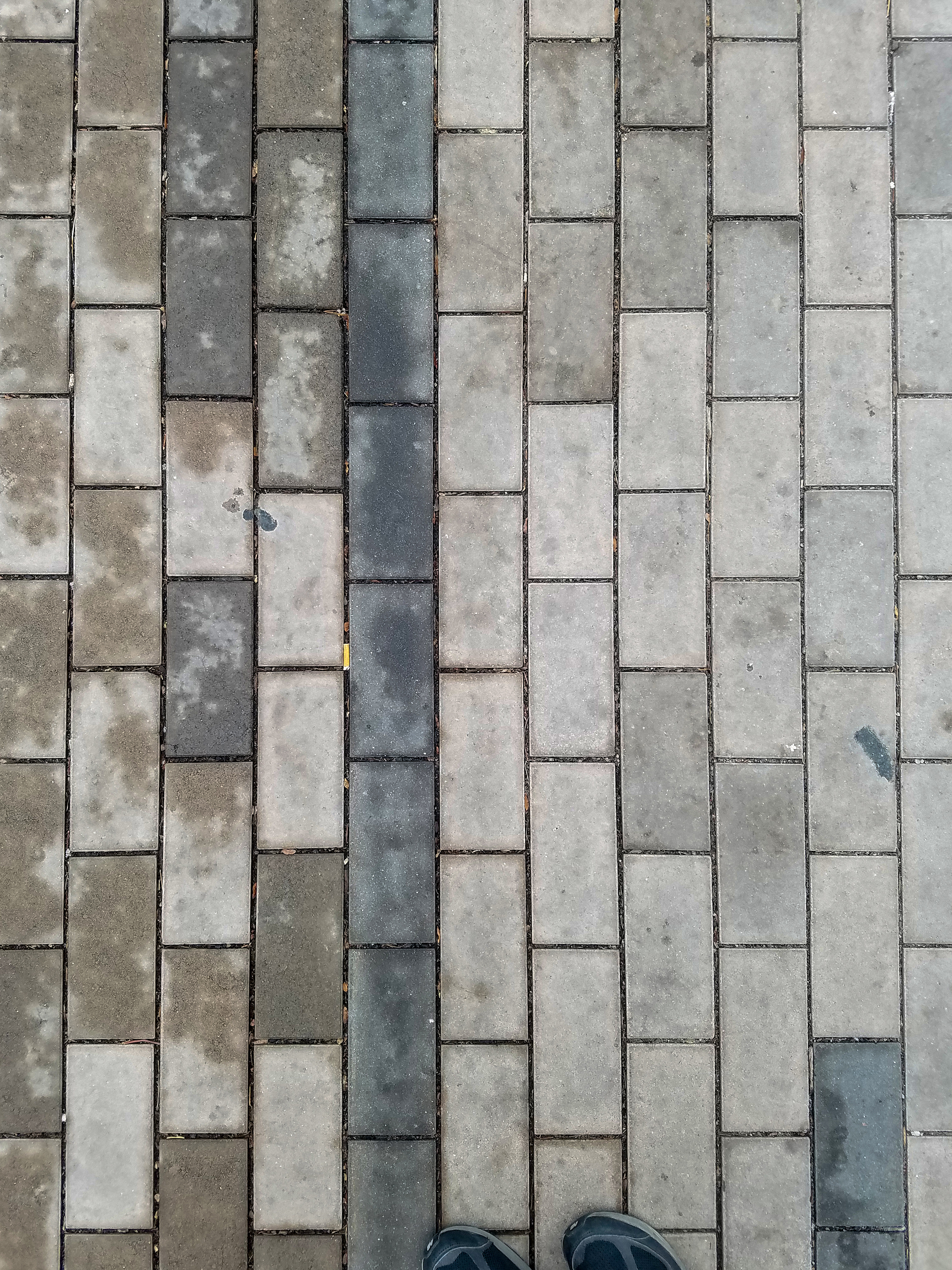 The main pathways leading from the Colfax at auraria station into the campus have brick patterns that are parallel with the foot-traffic. Most of the bricks are of a lighter tone, but some are darker and more blue in hue. Debris and discarded cigarettes can sometimes be seen between the joins.