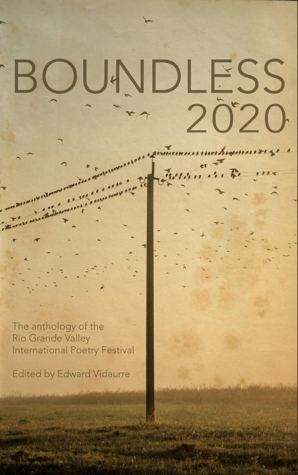 Boundless 2020 the anthology of the Rio Grande Valley International Poetry Festival