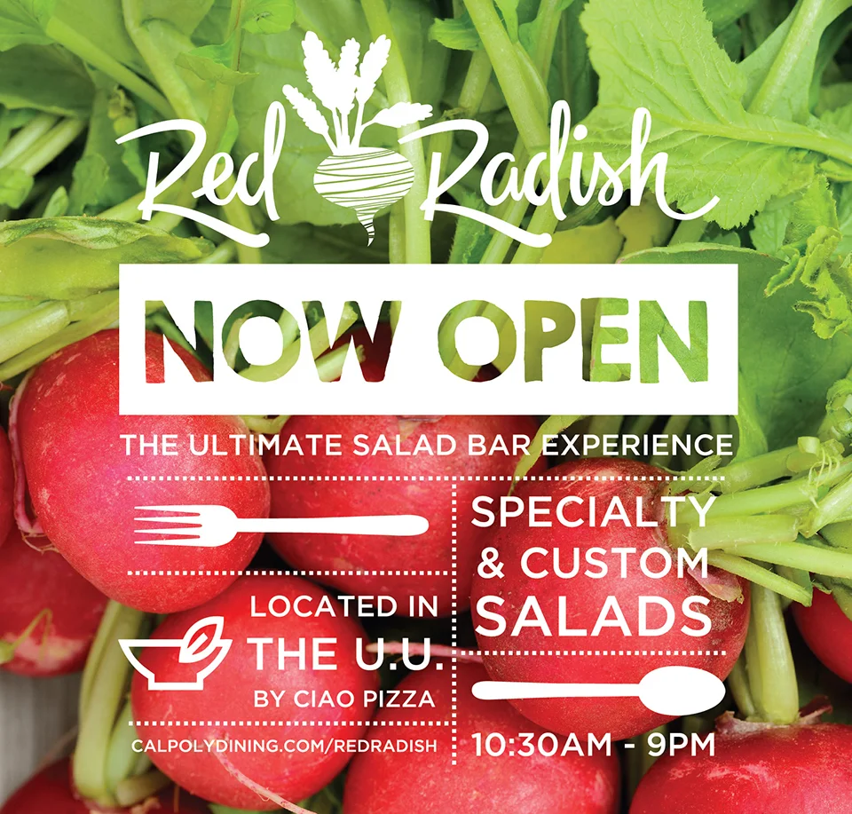 Brand Design: Red Radish