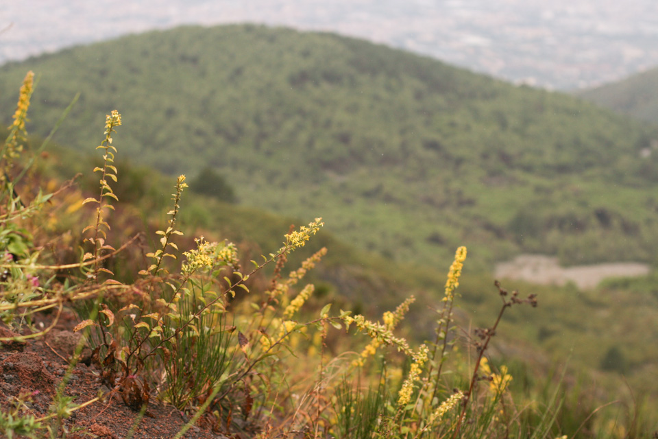 mount-vesuvius-studio-sophy-6.jpg