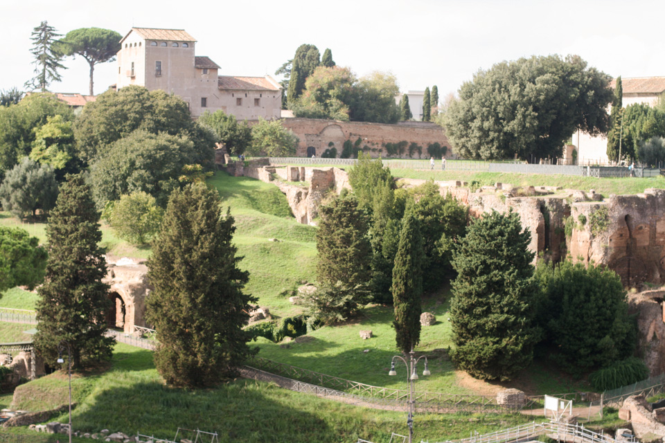 colosseum-rome-studio-sophy-6.jpg