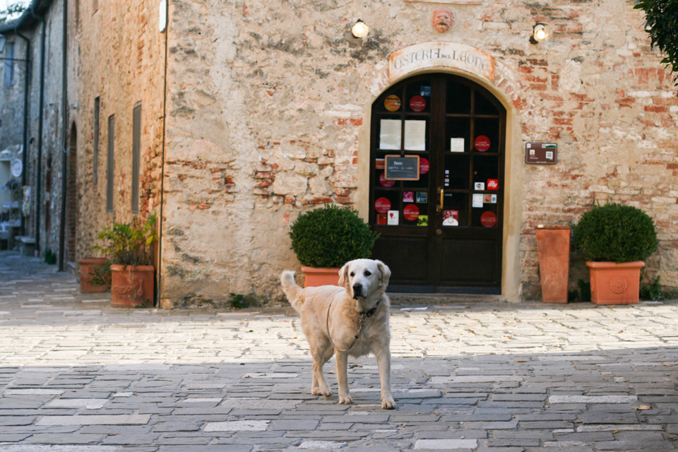 tuscany-studio-sophy-69.jpg