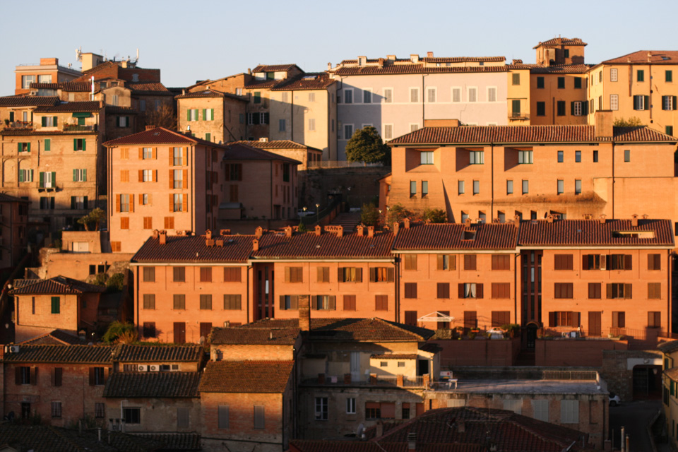 siena-studio-sophy-4.jpg