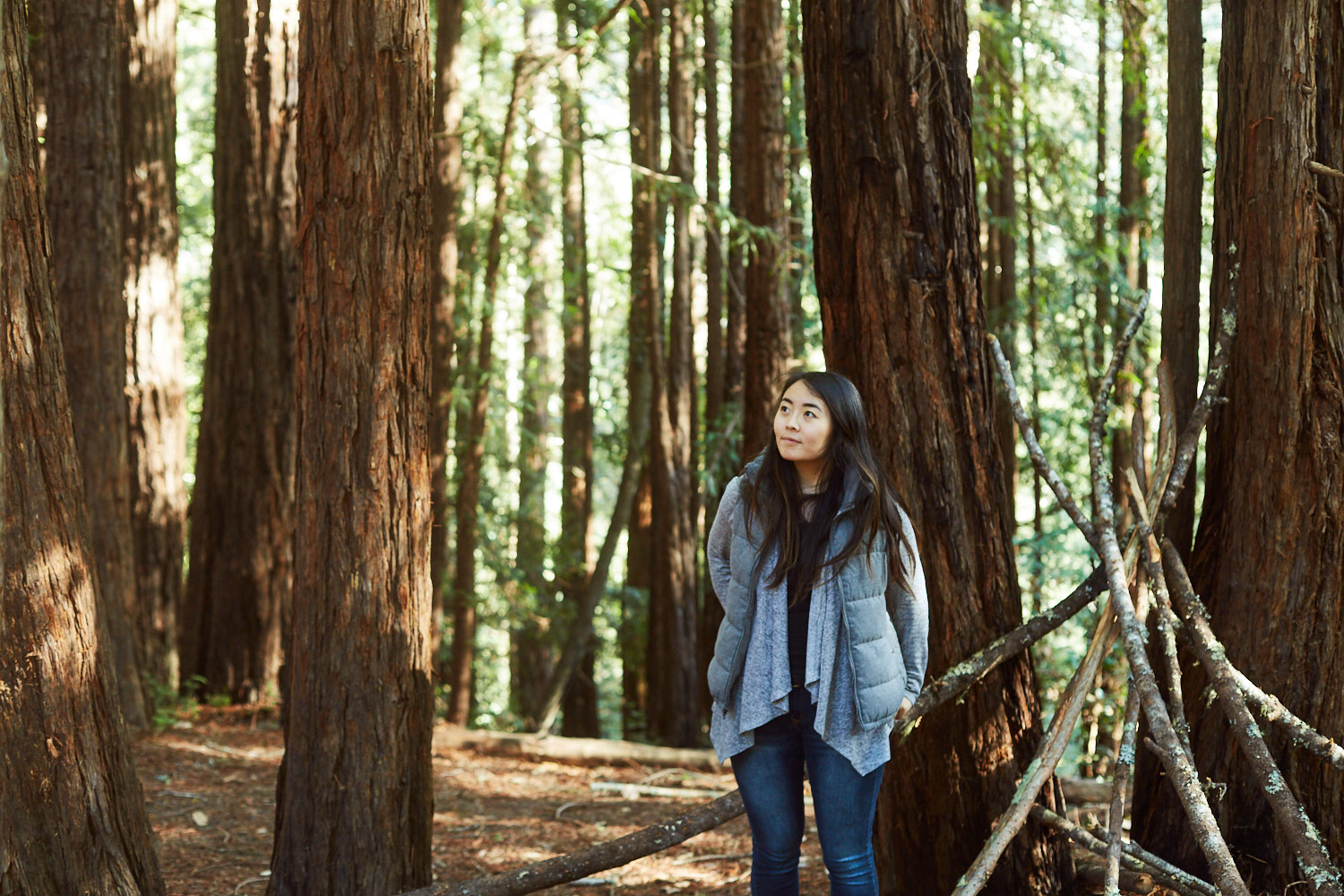 sophia-liu-photography-muir-woods-IMG_8082x1500.jpg