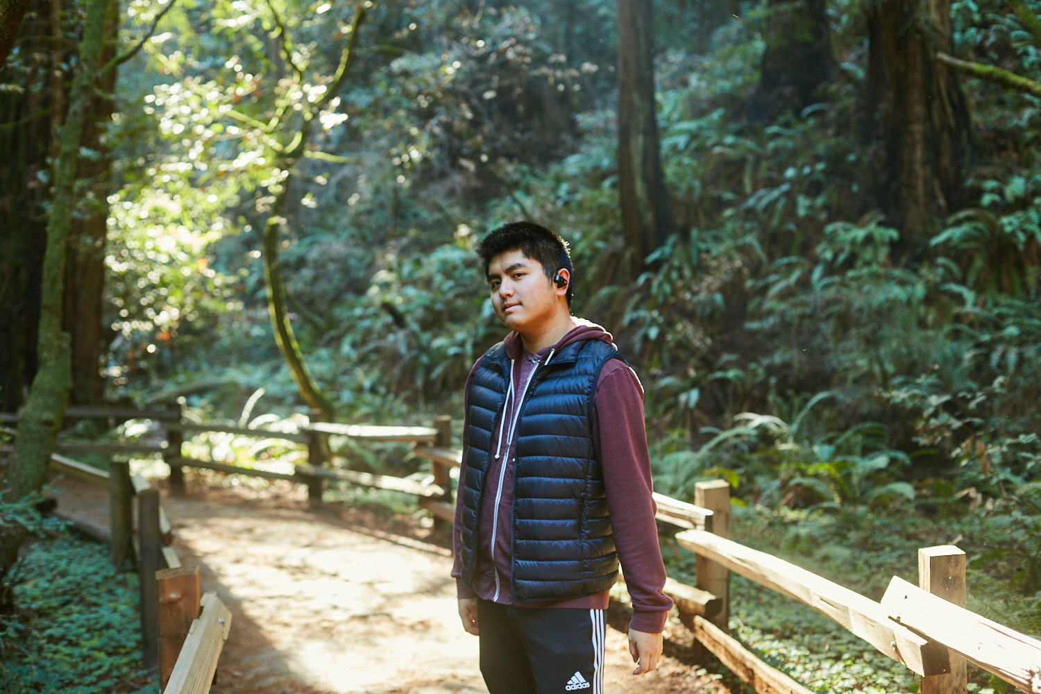 sophia-liu-photography-muir-woods-IMG_7986x1500.jpg