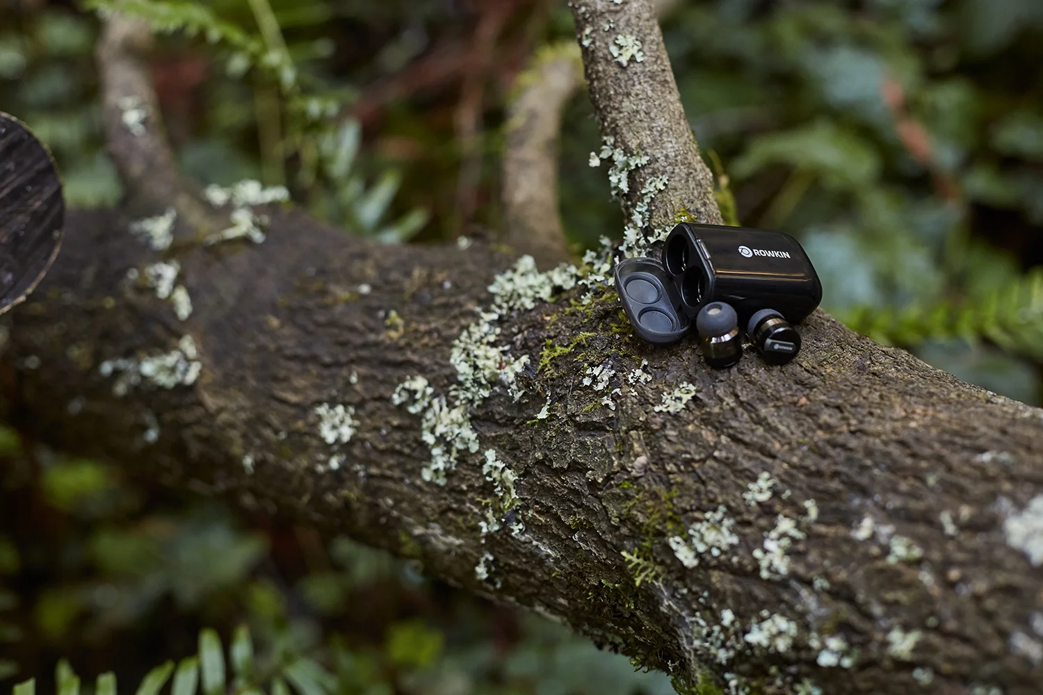 micro-sophia-liu-photography.jpg