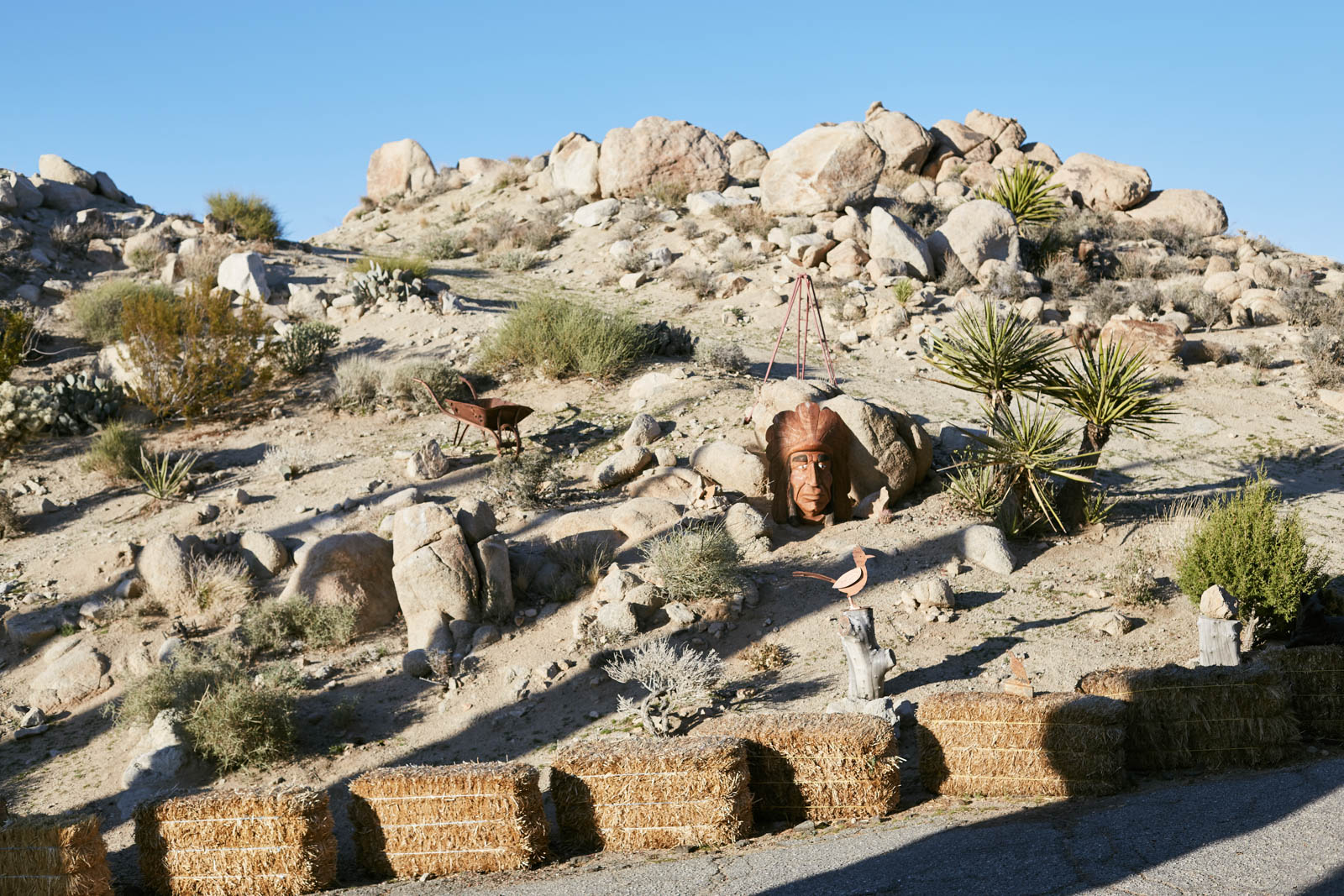 joshua-tree-studio-sophy-2964.jpg