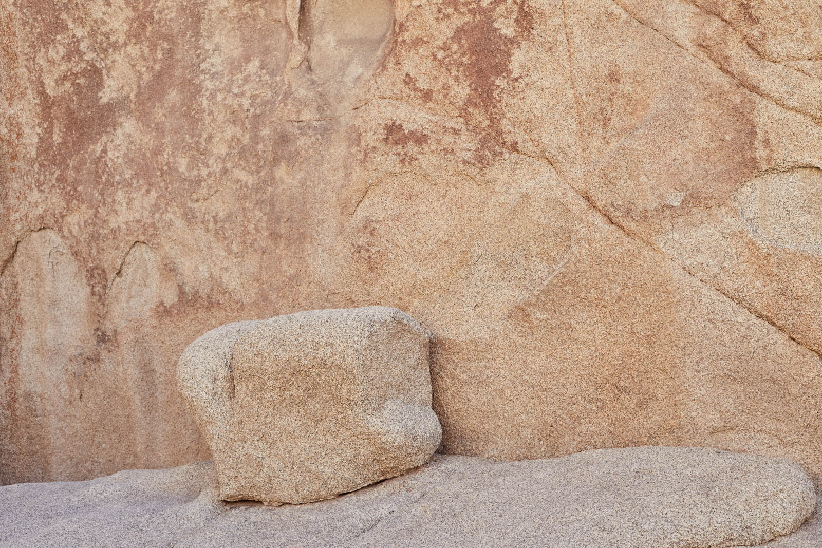 joshua-tree-studio-sophy-3584.jpg