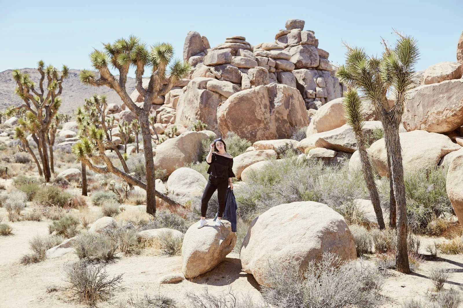Joshua Tree, 2018