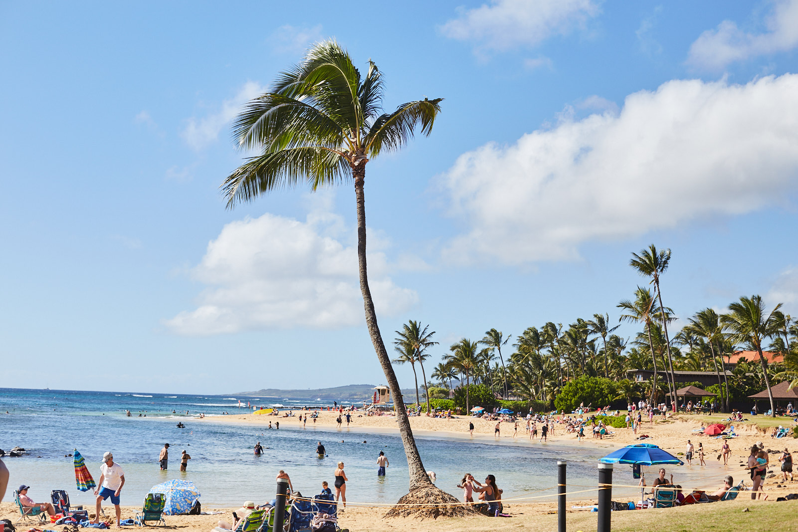 studio-sophy-hawaii-sophia-liu-photography-IMG_1622x1600.jpg