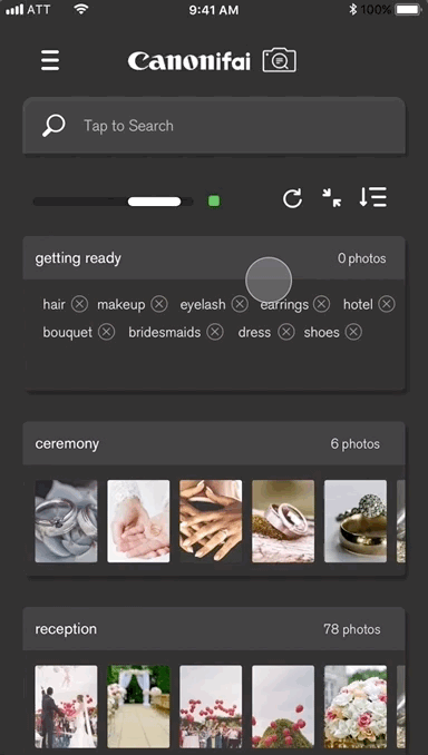prototype canonifai.gif