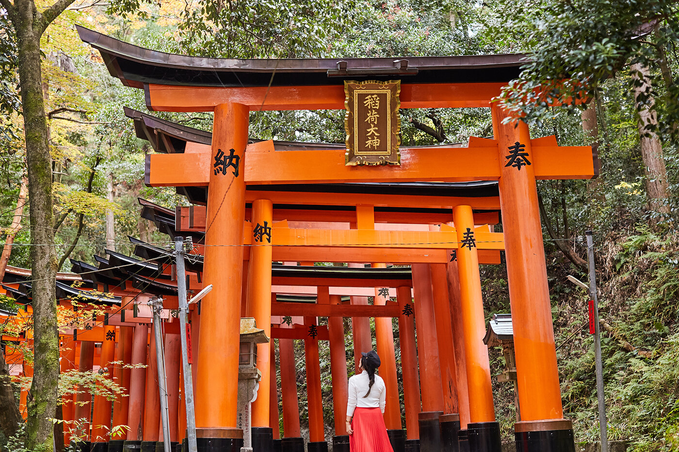  Unintentionally dressed like a miko, a shrine maiden. 