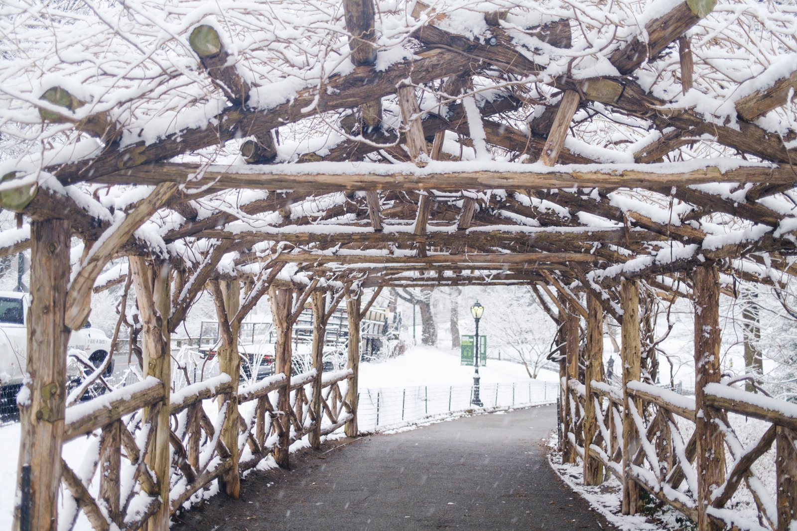 new-york-snow-central-park-sophia-liu-photography-1417.jpg