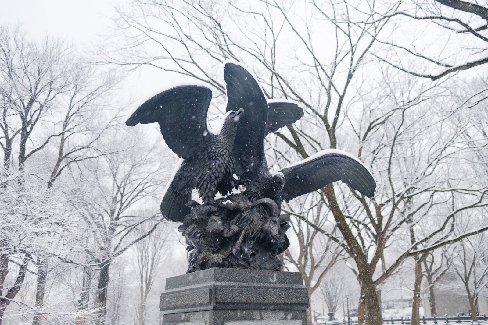 new-york-snow-central-park-sophia-liu-photography-1456.jpg