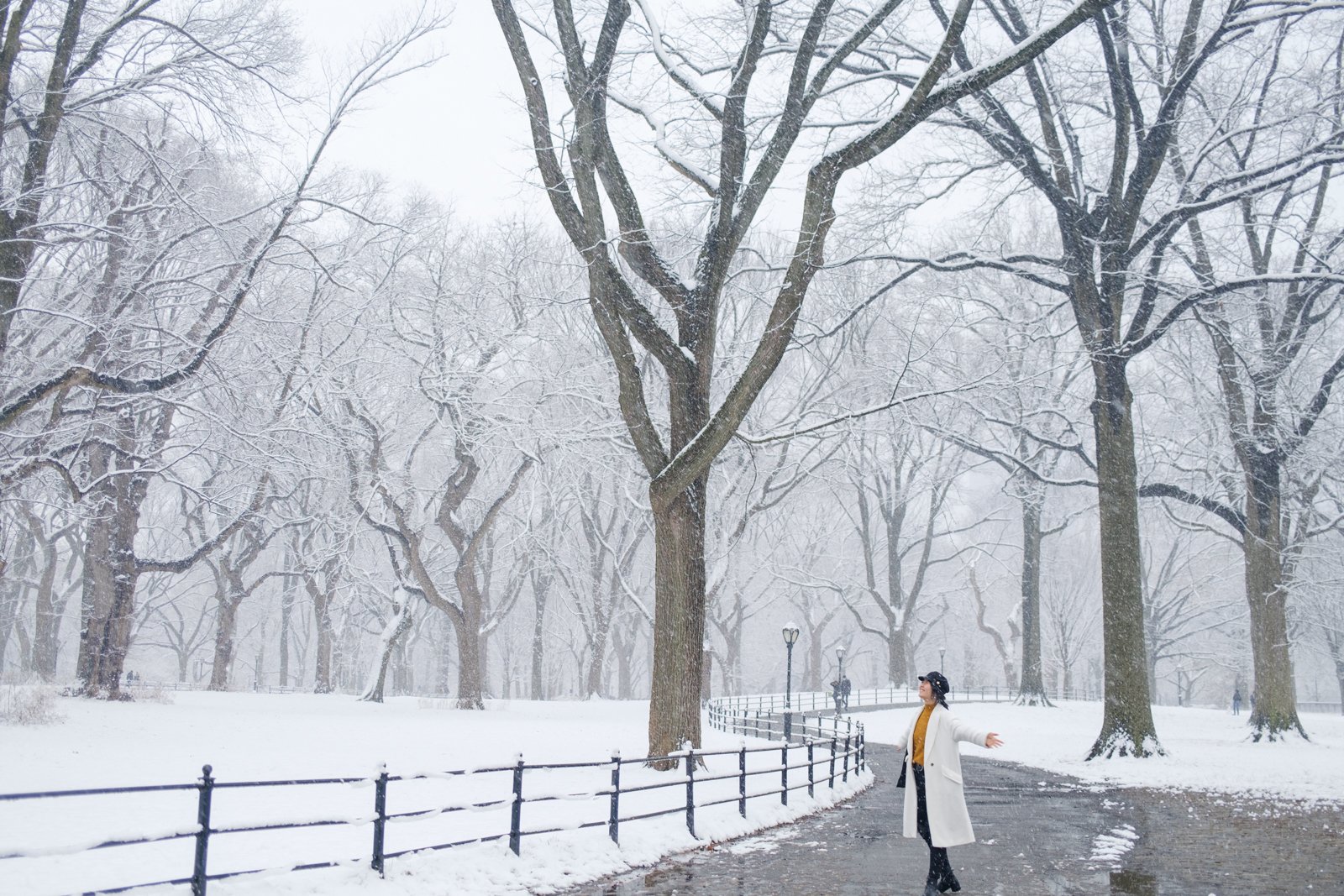 new-york-snow-central-park-sophia-liu-photography-1481.jpg