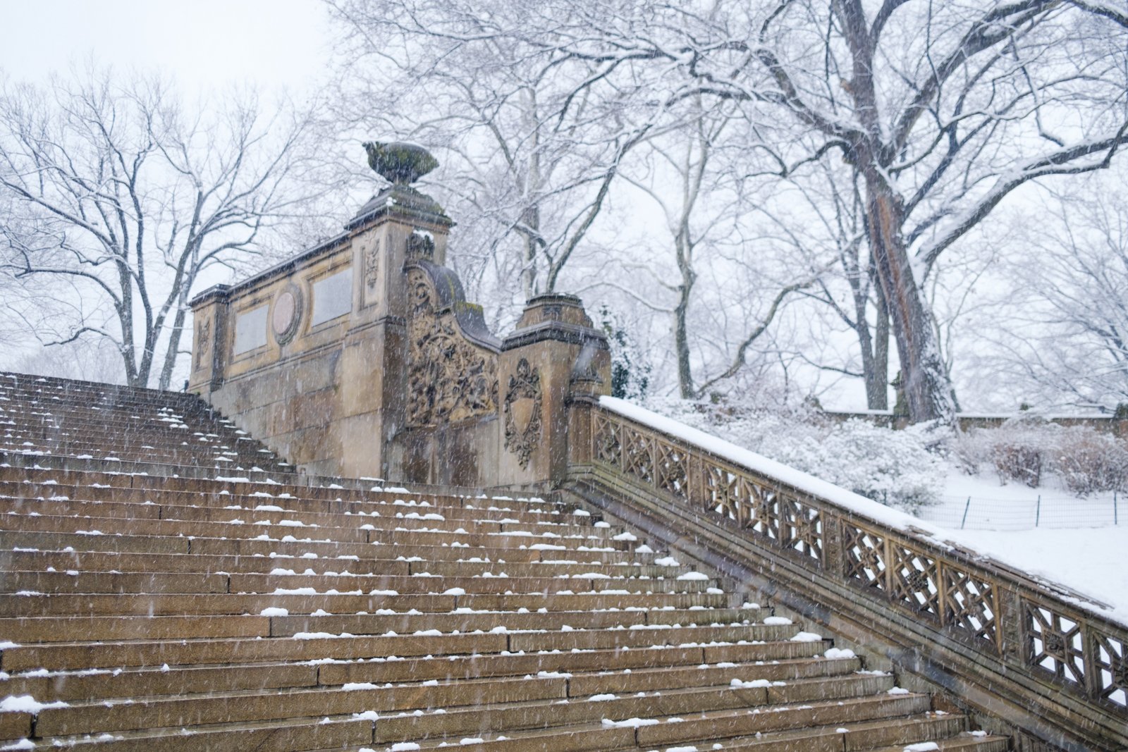 new-york-snow-central-park-sophia-liu-photography-1493.jpg