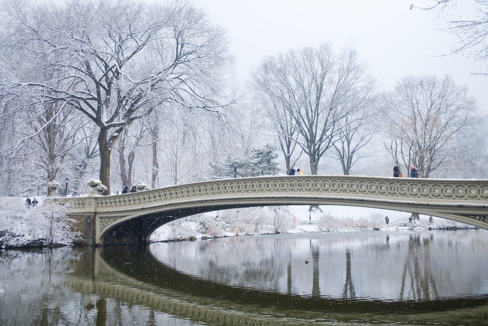 new-york-snow-central-park-sophia-liu-photography-1544.jpg