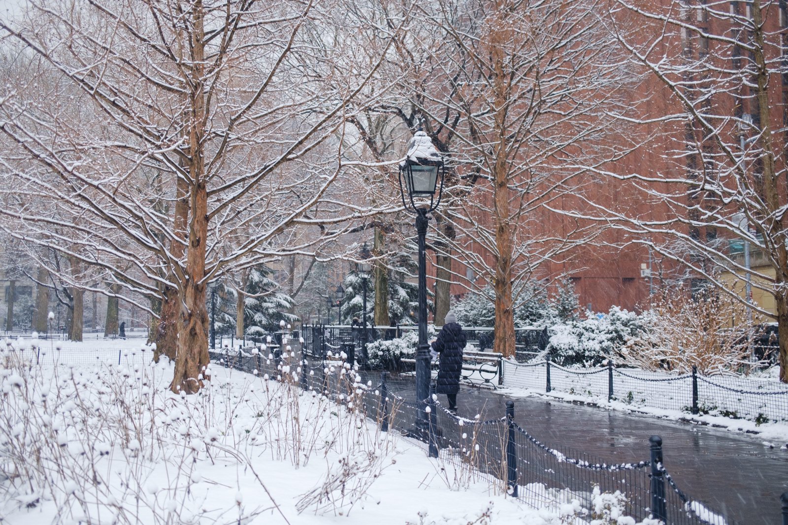 new-york-snow-central-park-sophia-liu-photography-1606.jpg