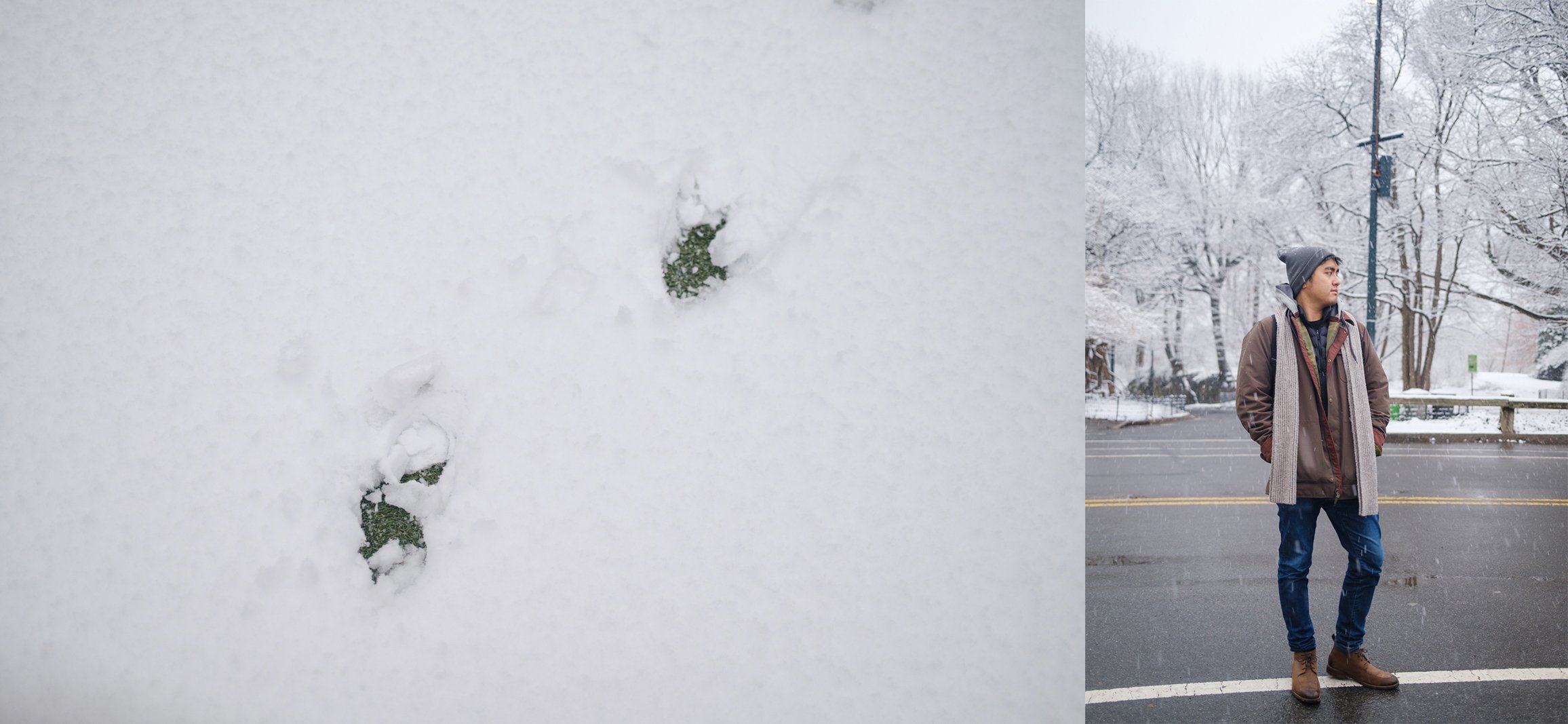 new-york-snow-central-park-sophia-liu-photography-1398xd.jpg