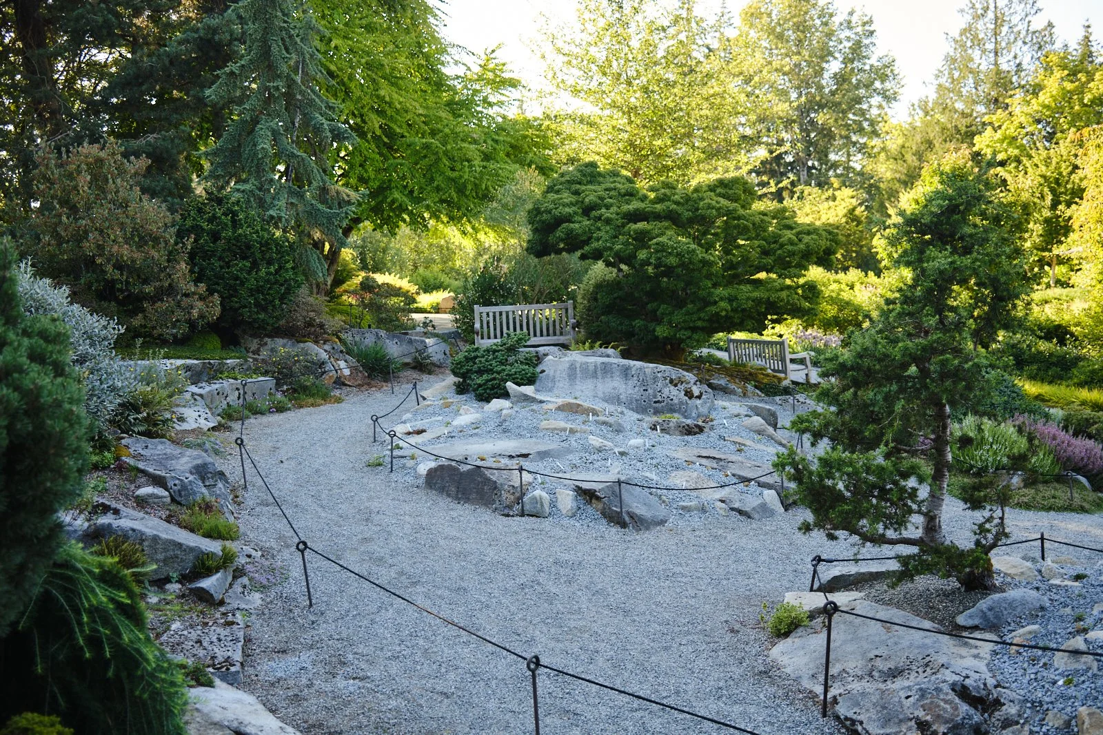 DSCF8389-blogx1600.jpg