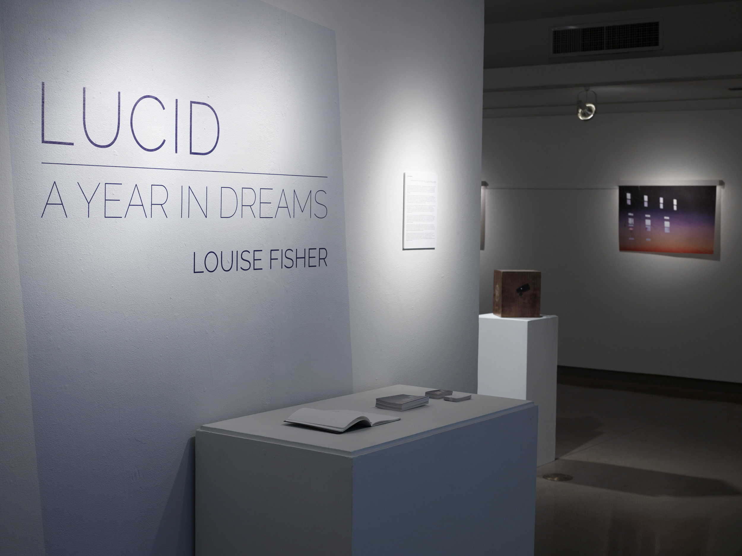 Lucid: A Year in Dreams