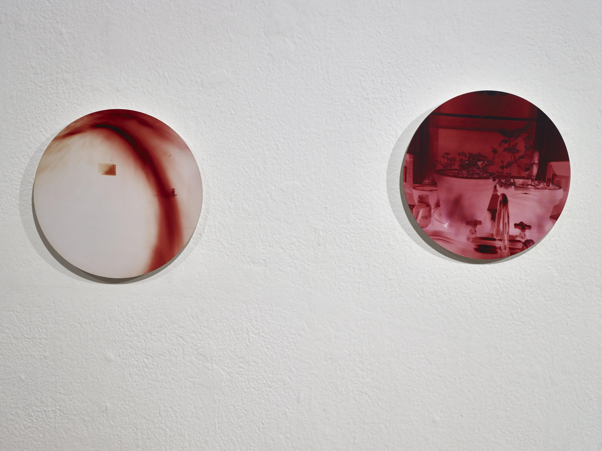 Circadian Installation (detail)