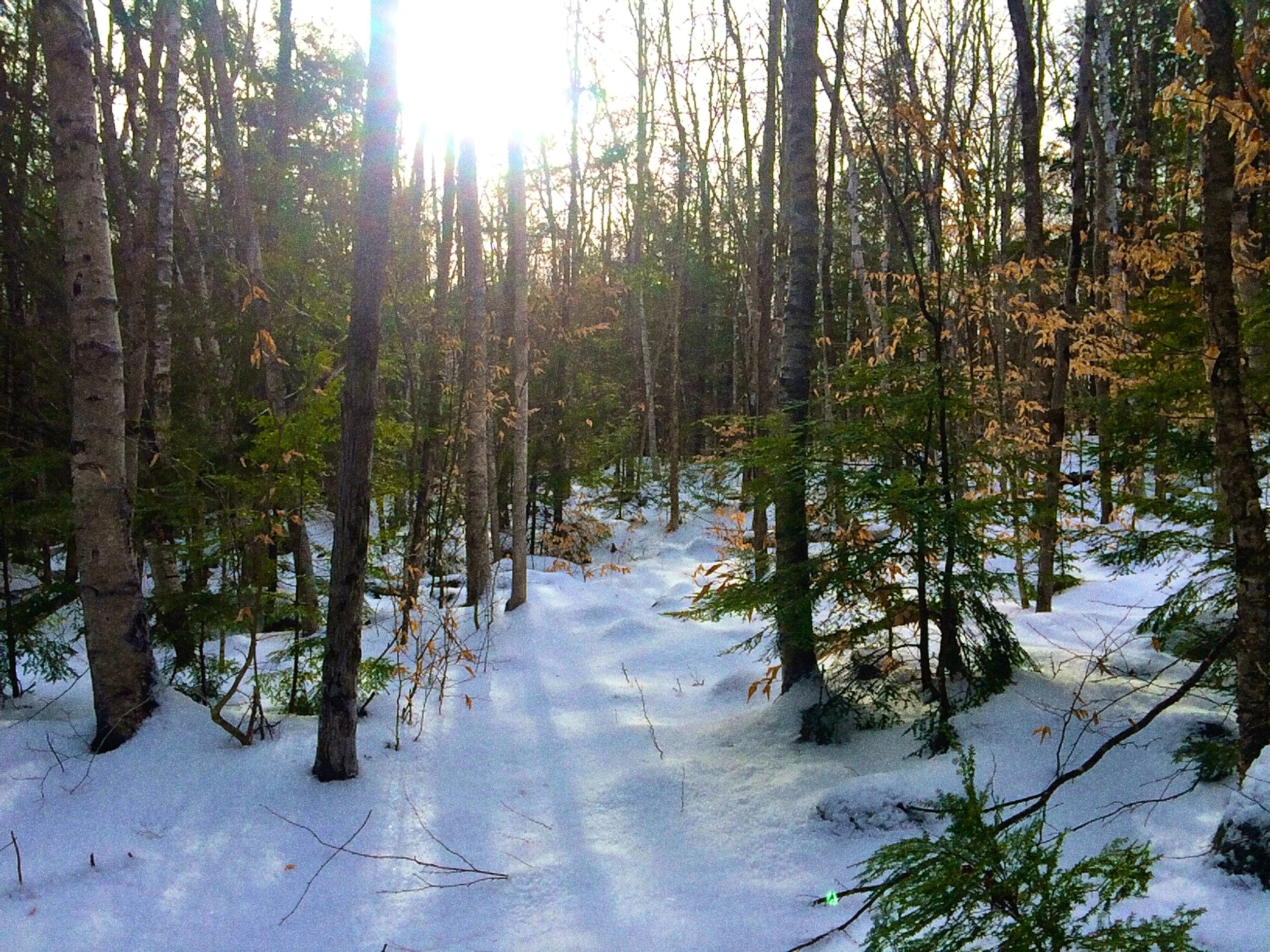 The Good, the Bad and the Ugly