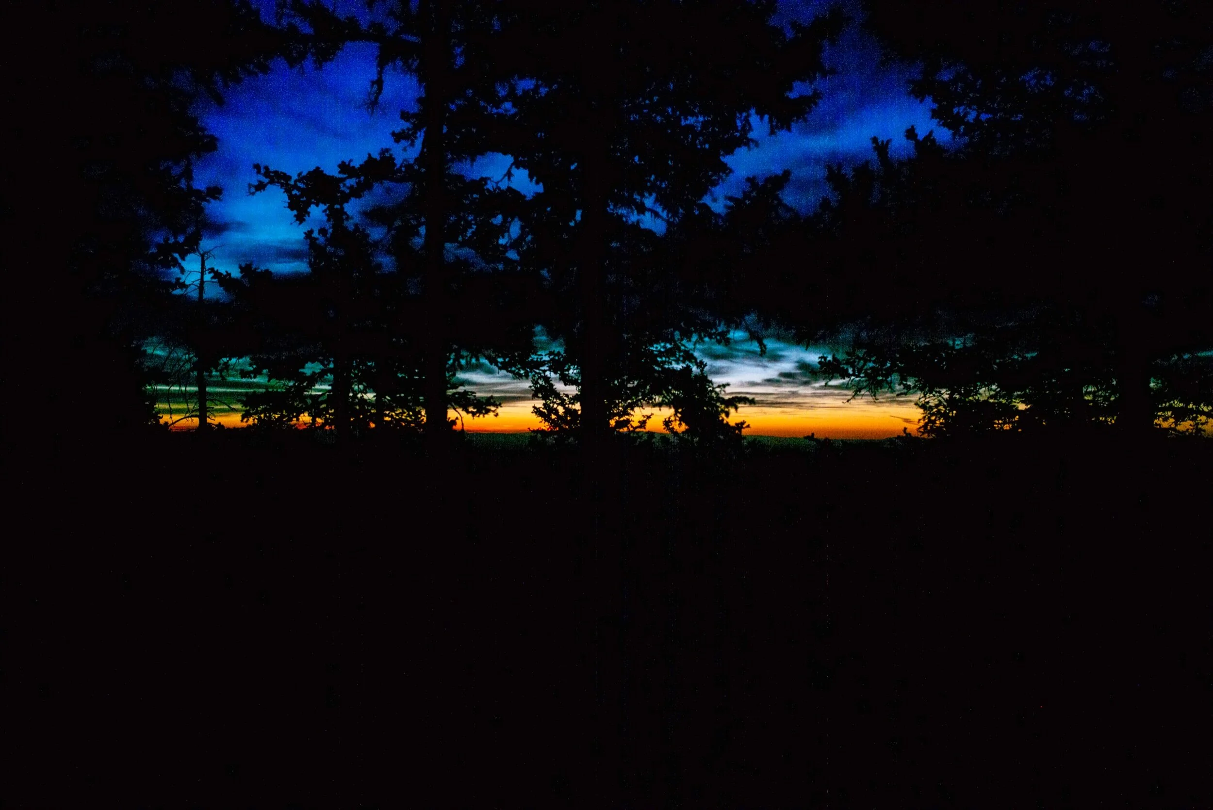 The saga of the knee