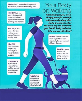 Wellness Wednesday Tip #36: Walk! — Fuel Physio, LLC