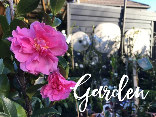 Garden-550x412.jpg