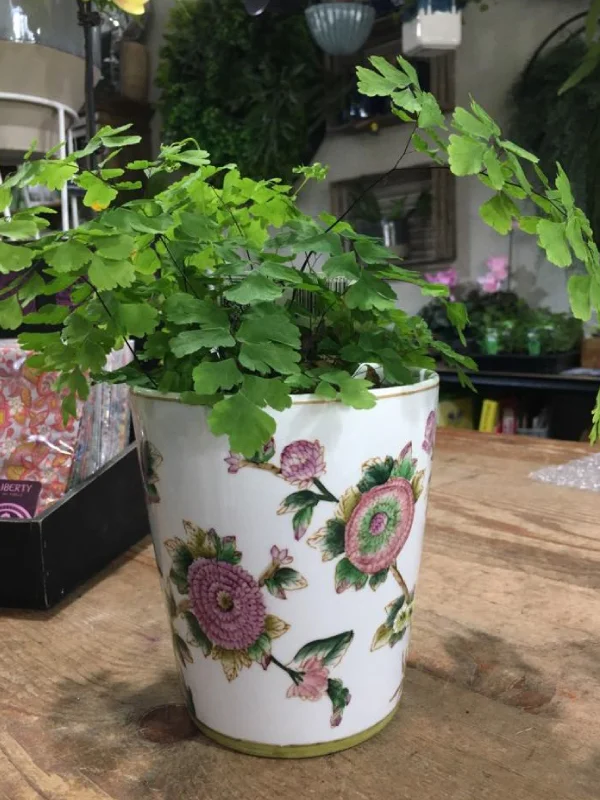 Pink-oriental-pot.jpg